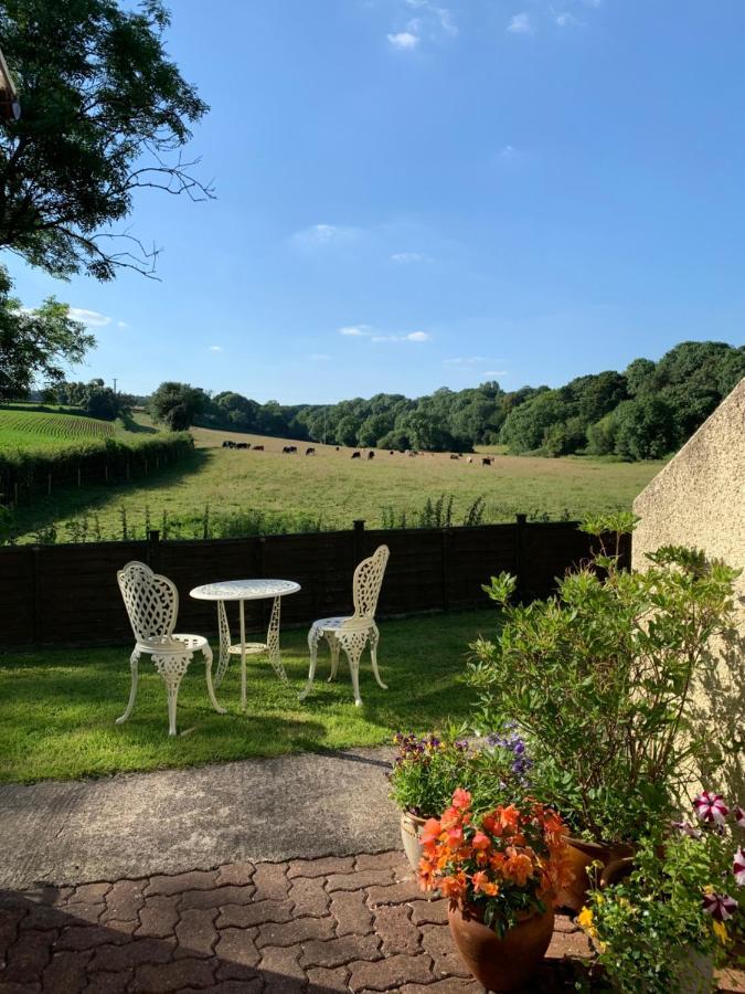 Willowbrook Guesthouse Chepstow Exterior photo